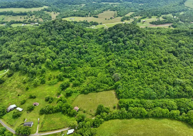 Homes for sale in Carthage, TN | 0 Little Salt Lick Creek Rd, Carthage, TN 37030 | MLS# 3224336