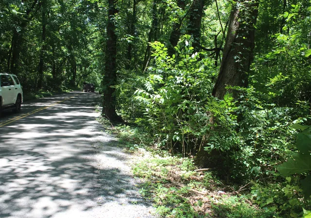 4th image of 3978 Dry Fork Rd, Whites Creek, TN 37189 | MLS# 3220799