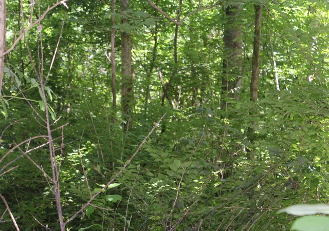 8th image of 3978 Dry Fork Rd, Whites Creek, TN 37189 | MLS# 3220799
