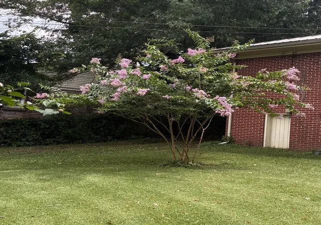 60th image of 1082 Rolling Fields Cir, Columbia, TN 38401 | MLS# 3233581