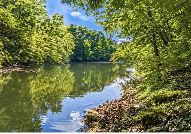 Homes for sale in Estill Springs, TN | 0 Elklore Avenue, Estill Springs, TN 37330 | MLS# 3220880