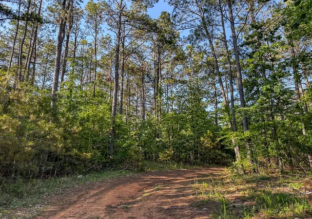 3rd image of 0 Post Office Rd, Michie, TN 38357 | MLS# 3220959
