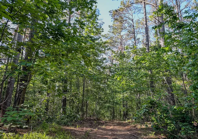 5th image of 0 Post Office Rd, Michie, TN 38357 | MLS# 3220959