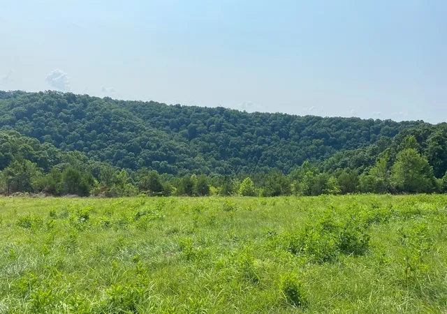 Photo 3 of Land for sale at 0 H O Allison, Baxter, TN 38544 | MLS# 3221066 | Listing updated on 2026-08-18
