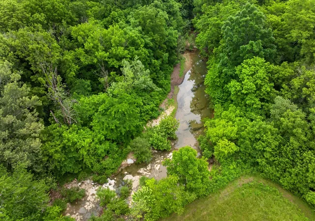 Homes for sale in Whitleyville, TN | 8029 Brimstone Creek Rd, Whitleyville, TN 38588 | MLS# 3226295