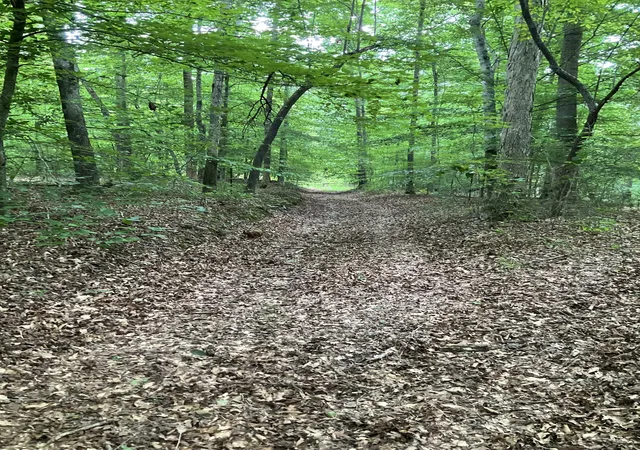 2nd image of 0 Fergus Ln, Tullahoma, TN 37388 | MLS# 3230781