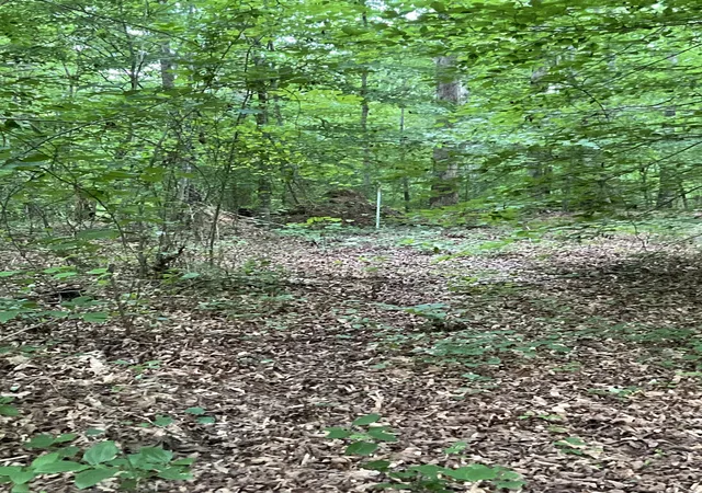 5th image of 0 Fergus Ln, Tullahoma, TN 37388 | MLS# 3230781