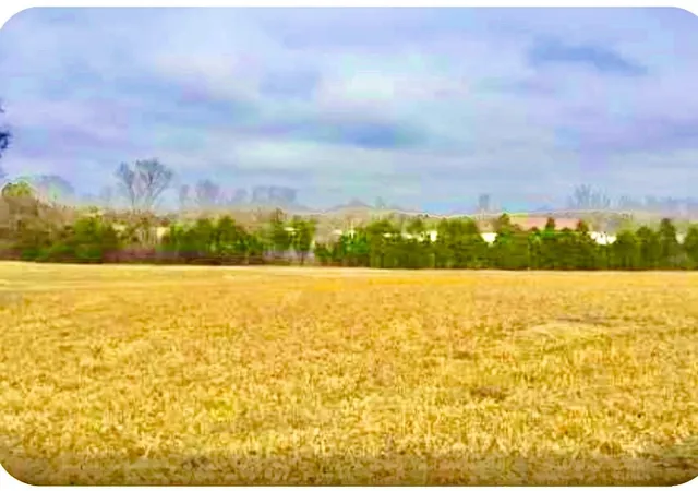 1st image of 0 N Old Mt Juliet Rd, Mount Juliet, TN 37122 | MLS# 3229361