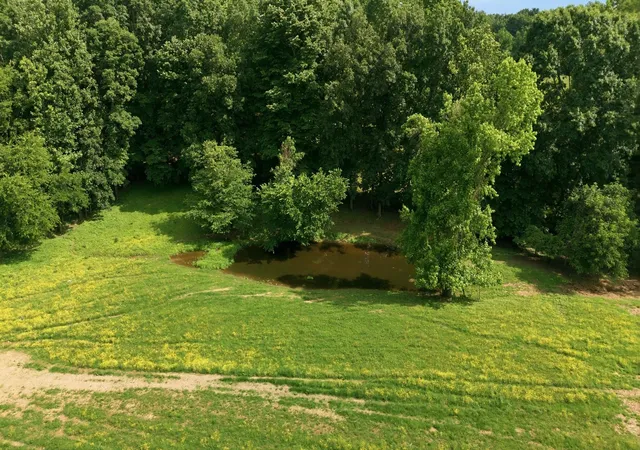 84th image of 925 Sumac Rd, Pulaski, TN 38478 | MLS# 3231155