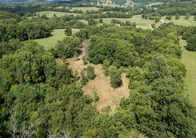 Homes for sale in Wartrace, TN | 0 Hickerson Rd, Wartrace, TN 37183 | MLS# 3223123