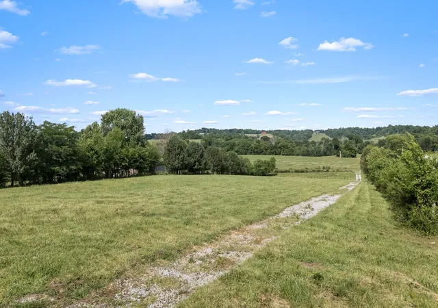 Homes for sale in Wartrace, TN | 0 Hickerson Rd, Wartrace, TN 37183 | MLS# 3223123