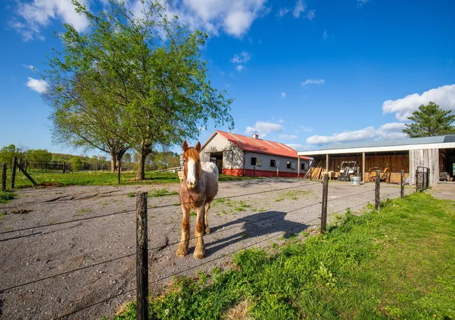 Homes for sale in Unionville, TN | 501 Burnt Hill Rd, Unionville, TN 37180 | MLS# 3224228