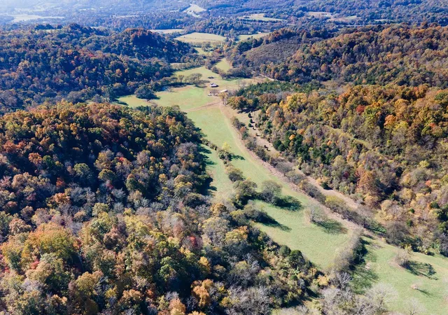 23rd image of 501 Tallent Road, Pulaski, TN 38478 | MLS# 3223077