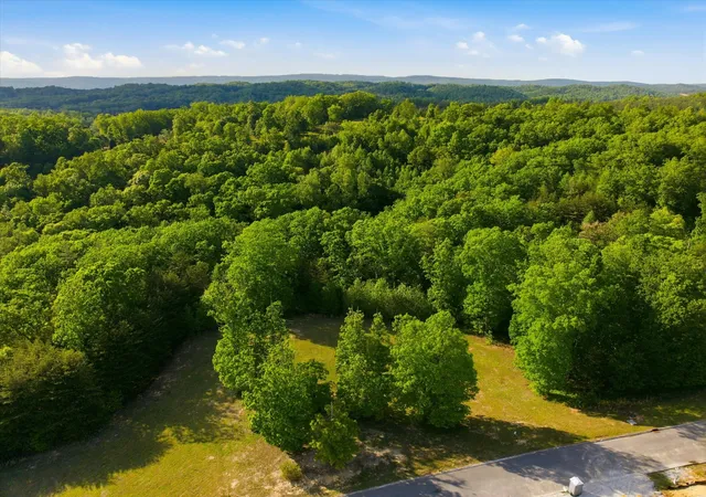 2nd image of 198 River Run Trail, Spring City, TN 37381 | MLS# 3222978