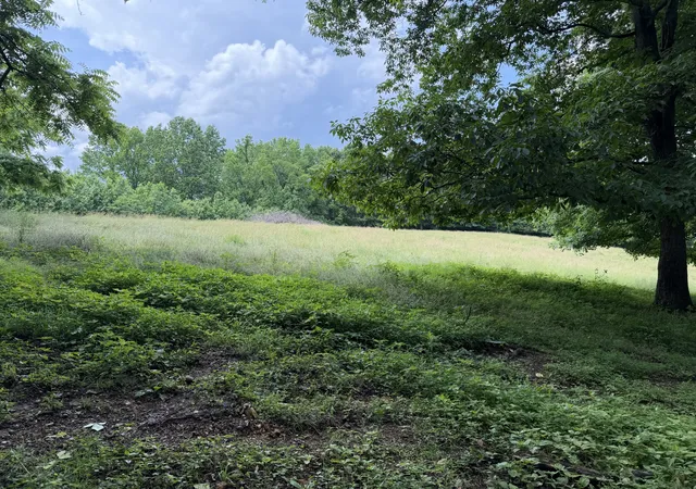 Homes for sale in Belvidere, TN | 0 Ridge Road, Belvidere, TN 37306 | MLS# 3223050