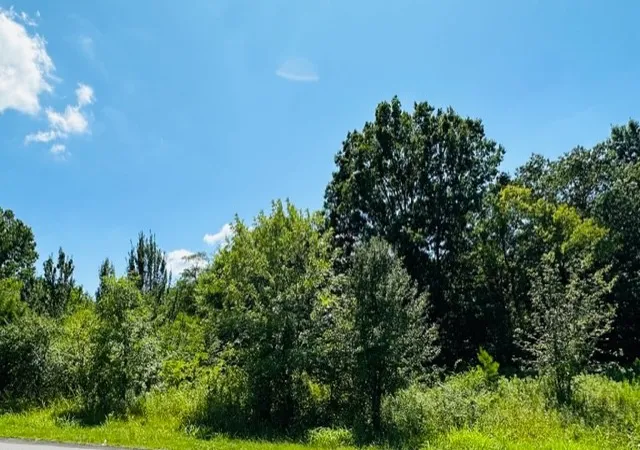Photo 1 of Land for sale at 13877 Old Hickory Blvd, Antioch, TN 37013 | MLS# 3223114 | Listing updated on 2026-10-14