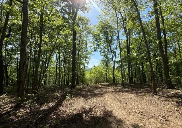 2nd image of 0 Laurel Lake Dr, Monteagle, TN 37356 | MLS# 3223098