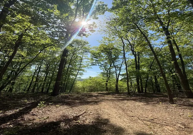 4th image of 0 Laurel Lake Dr, Monteagle, TN 37356 | MLS# 3223098
