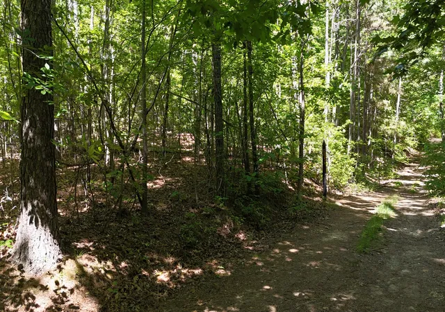 Homes for sale in Waverly, TN | 0 Greenbriar Road, Waverly, TN 37185 | MLS# 3230430