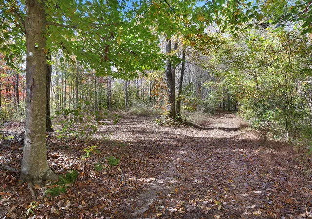 Homes for sale in Silver Point, TN | 0 Smithville Hwy, Silver Point, TN 38582 | MLS# 3223561