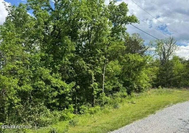 1st image of 0 Sugar Cove Way, Newport, TN 37821 | MLS# 3278484