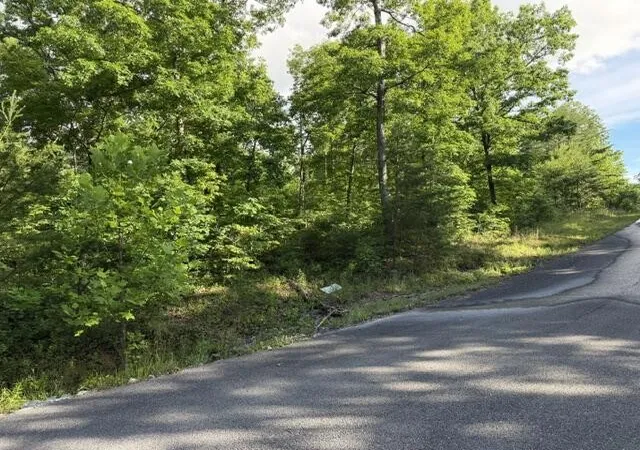Homes for sale in Pikeville, TN | 196 Big Bluff View, Pikeville, TN 37367 | MLS# 3223777