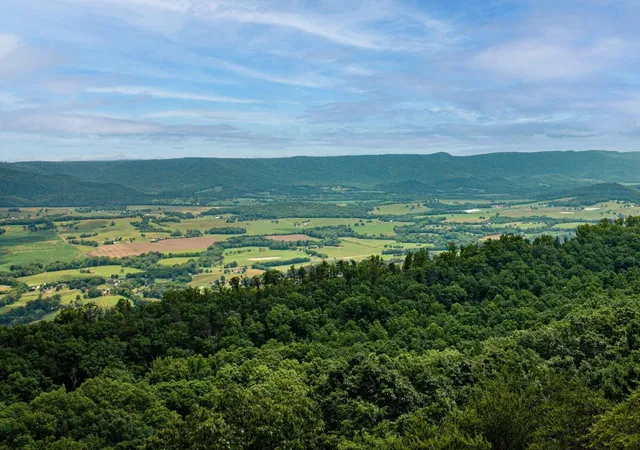 2nd image of 196 Big Bluff View, Dunlap, TN 37327 | MLS# 3223777