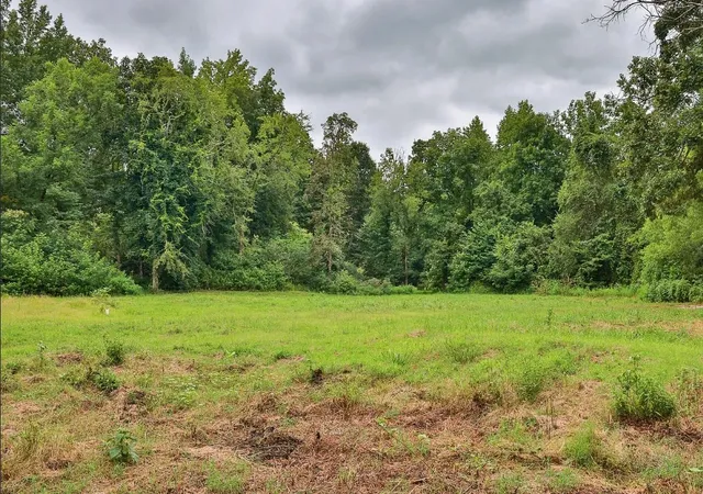 Homes for sale in Huntingdon, TN | 0 Red Williams Rd, Huntingdon, TN 38344 | MLS# 3223921