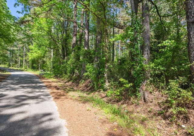 Homes for sale in Huntingdon, TN | 0 Red Williams Rd, Huntingdon, TN 38344 | MLS# 3223921
