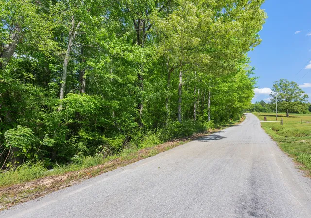 Homes for sale in Huntingdon, TN | 0 Mebane Cemetery Rd, Huntingdon, TN 38344 | MLS# 3223934