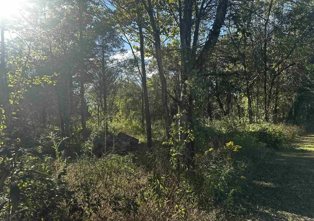 image of 0 Catfish Ln Ln, Crump, TN 38327 | MLS# 3223998