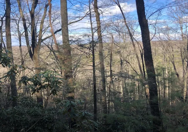 Homes for sale in Tellico Plains, TN | 450 Holder Cemetery Road, Tellico Plains, TN 37385 | MLS# 3225955