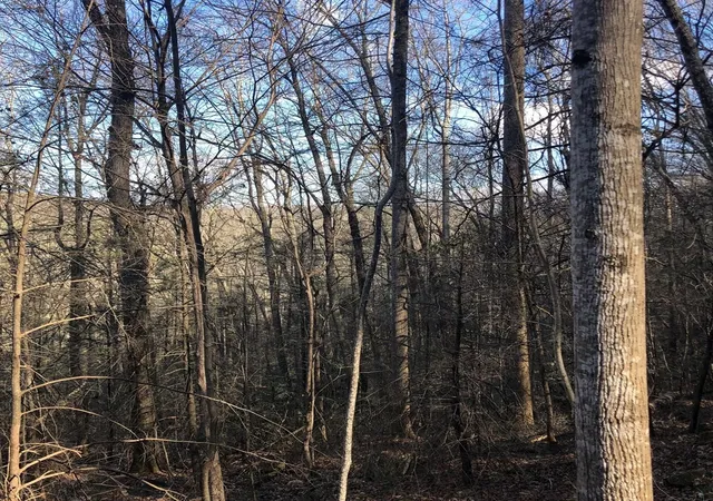 Homes for sale in Tellico Plains, TN | 450 Holder Cemetery Road, Tellico Plains, TN 37385 | MLS# 3225955