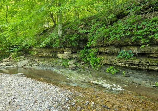 Photo 4 of House for sale at 5185 Old Harding Rd, Franklin, TN 37064 | MLS# 3230865 | Listing updated on 2026-08-19