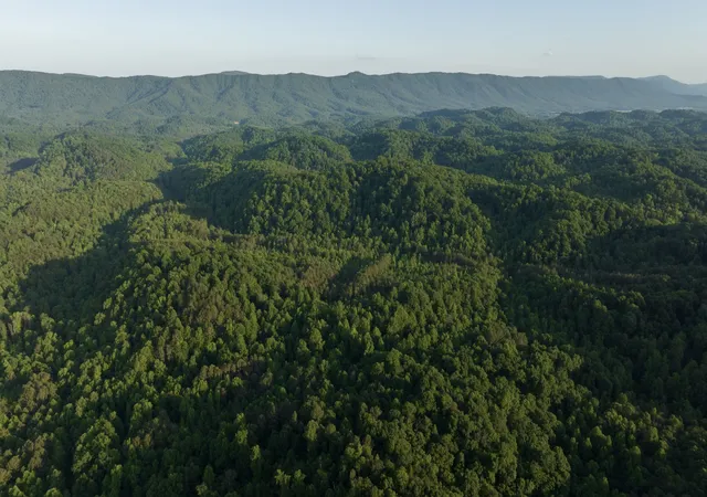 Photo 3 of Land for sale at 0 County Rd 480, Englewood, TN 37329 | MLS# 3224647 | Listing updated on 2026-08-19