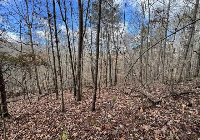 Photo 1 of Land for sale at 0 Smyrna Rd, Evensville, TN 37332 | MLS# 3224725 | Listing updated on 2026-09-14