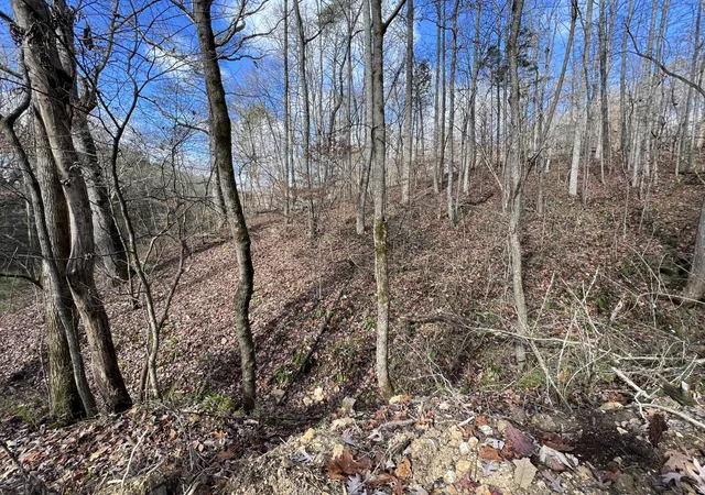 Photo 3 of Land for sale at 0 Smyrna Rd, Evensville, TN 37332 | MLS# 3224725 | Listing updated on 2026-09-14