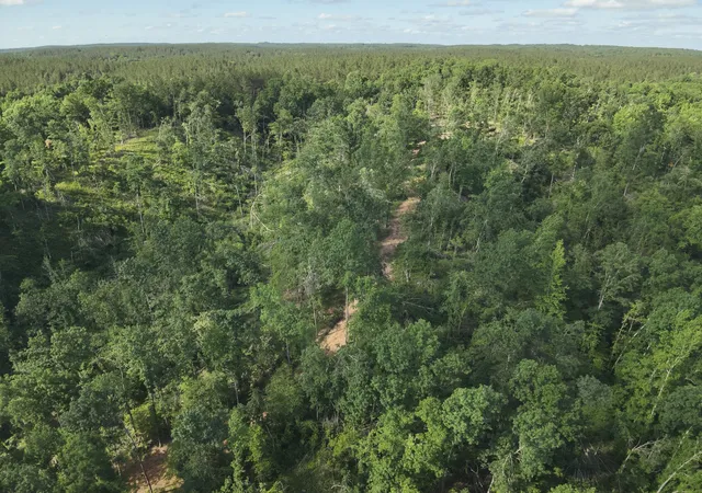 51st image of 1464 Marsh Creek Rd, Linden, TN 37096 | MLS# 3224777