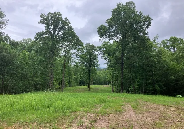 Homes for sale in Big Sandy, TN | 213 Wynn Ferry Rd, Big Sandy, TN 38221 | MLS# 3224802