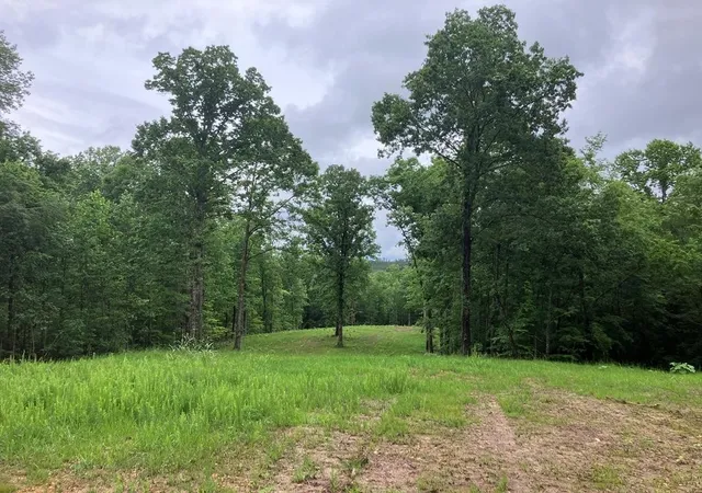 Homes for sale in Big Sandy, TN | 213 Wynn Ferry Rd, Big Sandy, TN 38221 | MLS# 3224802