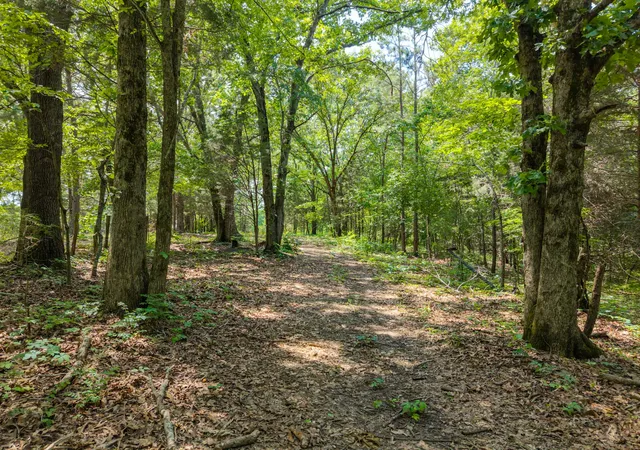 Homes for sale in Bon Aqua, TN | 0 Eli Rd, Bon Aqua, TN 37025 | MLS# 3224839