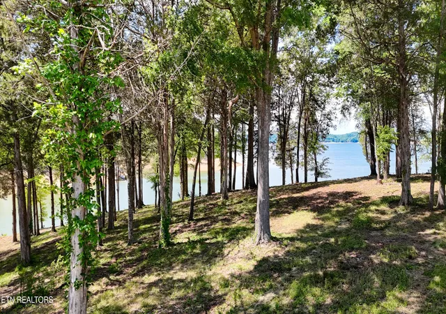 Photo 3 of Land for sale at 123 Ridge Point Tr, Dandridge, TN 37725 | MLS# 3224851 | Listing updated on 2026-10-09