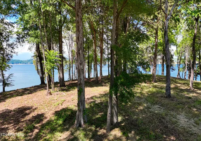 Photo 4 of Land for sale at 123 Ridge Point Tr, Dandridge, TN 37725 | MLS# 3224851 | Listing updated on 2026-10-09