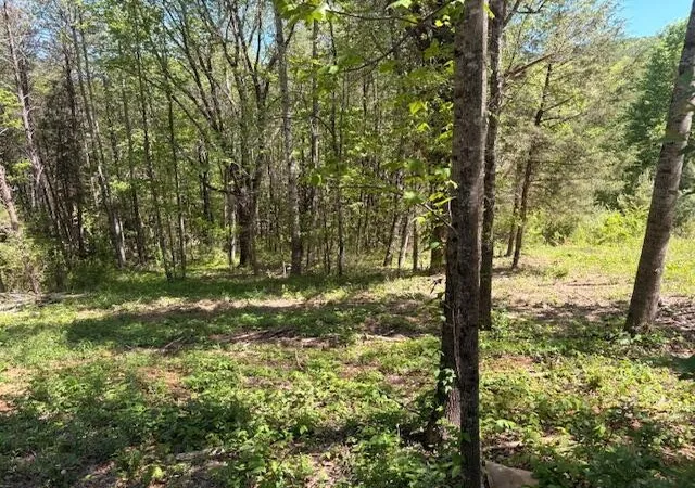 Homes for sale in Niota, TN | 12 Bivens Court, Niota, TN 37826 | MLS# 3224953