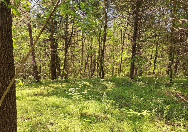 Homes for sale in Tellico Plains, TN | 374 Payne Road, Tellico Plains, TN 37385 | MLS# 3225959