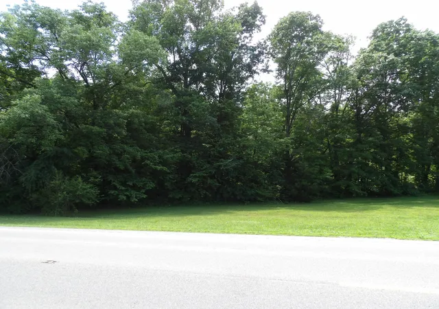 Homes for sale in Waverly, TN | 0 Hwy 13 South, Waverly, TN 37185 | MLS# 3225769