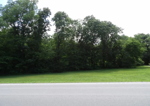 Homes for sale in Waverly, TN | 0 Hwy 13 South, Waverly, TN 37185 | MLS# 3225769