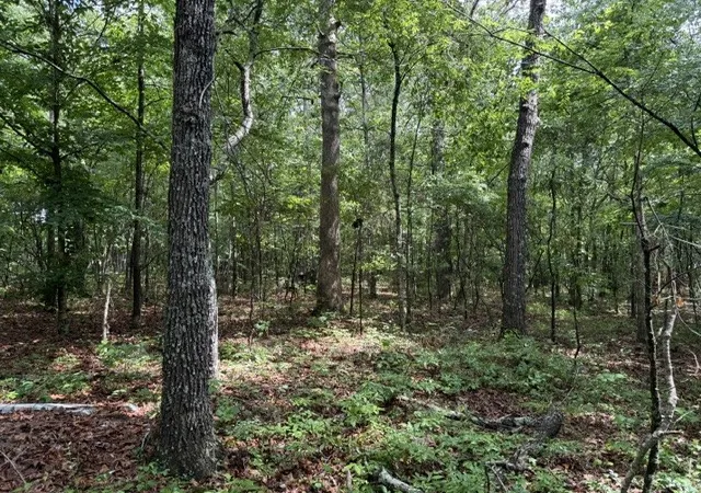 2nd image of 0 Freeze Rd, Morrison, TN 37357 | MLS# 3225007