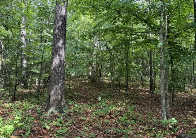 3rd image of 0 Freeze Rd, Morrison, TN 37357 | MLS# 3225007