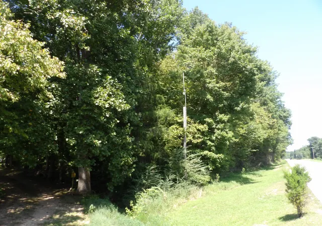 Photo 2 of Sale Pending at 0 Highway 13 S, Waverly, TN 37185 | MLS# 3513740 | Listing updated on 2026-08-31
